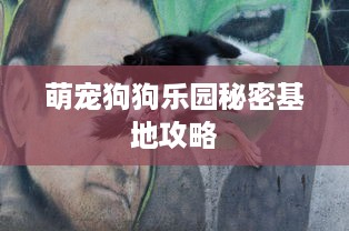 萌宠狗狗乐园秘密基地攻略