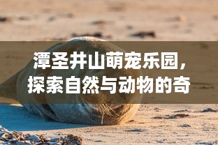 潭圣井山萌宠乐园，探索自然与动物的奇妙之旅