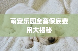 萌宠乐园全套保底费用大揭秘