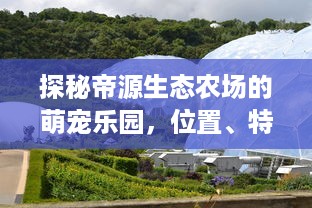 探秘帝源生态农场的萌宠乐园，位置、特色与游玩攻略