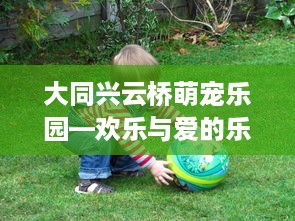 大同兴云桥萌宠乐园—欢乐与爱的乐园