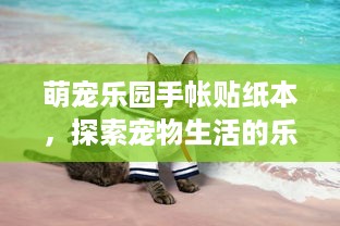 萌宠乐园手帐贴纸本，探索宠物生活的乐趣与创意