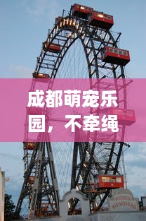 成都萌宠乐园，不牵绳的温馨故事