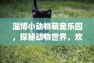 淄博小动物萌宠乐园，探秘动物世界，欢乐无限