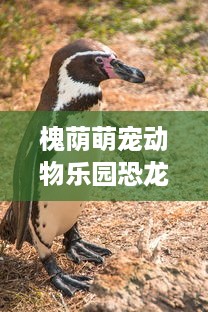 槐荫萌宠动物乐园恐龙园，穿越史前，与萌宠共舞