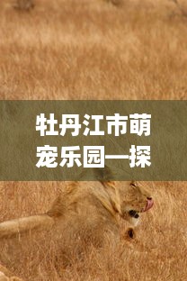 牡丹江市萌宠乐园—探索动物世界的奇妙之旅