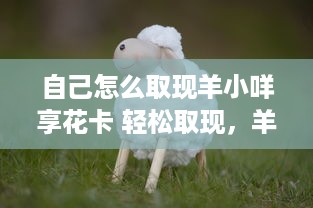 自己怎么取现羊小咩享花卡 轻松取现，羊小咩享花卡操作指南