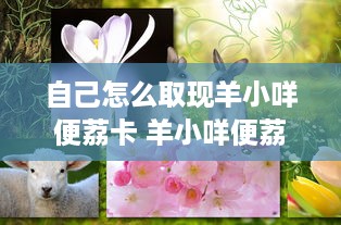 自己怎么取现羊小咩便荔卡 羊小咩便荔卡取现攻略，轻松搞定你的现金需求