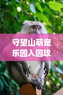 守望山萌宠乐园入园攻略