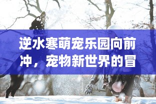 逆水寒萌宠乐园向前冲，宠物新世界的冒险之旅