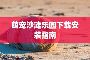萌宠沙滩乐园下载安装指南