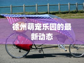 徐州萌宠乐园的最新动态