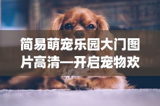 简易萌宠乐园大门图片高清—开启宠物欢乐时光的大门