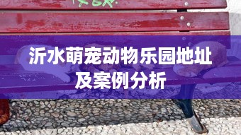 沂水萌宠动物乐园地址及案例分析