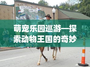 萌宠乐园巡游—探索动物王国的奇妙之旅