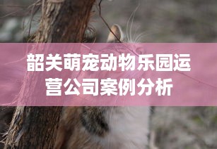 韶关萌宠动物乐园运营公司案例分析