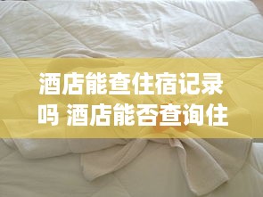 酒店能查住宿记录吗 酒店能否查询住宿记录？揭秘酒店住宿信息查询那些事儿