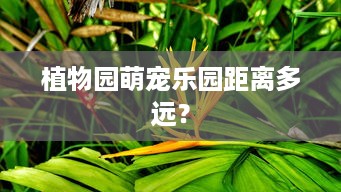 植物园萌宠乐园距离多远？