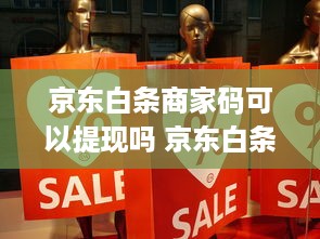 京东白条商家码可以提现吗 京东白条商家码提现攻略，轻松变现，告别资金周转难题！