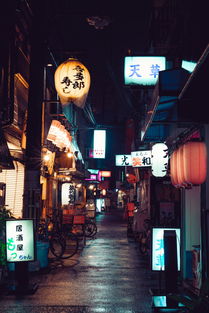 萌宠乐园商店彩绘图片高清大揭秘