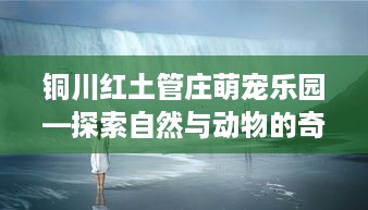 铜川红土管庄萌宠乐园—探索自然与动物的奇妙世界