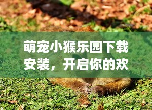 萌宠小猴乐园下载安装，开启你的欢乐动物园之旅