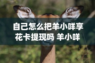 自己怎么把羊小咩享花卡提现吗 羊小咩享花卡提现攻略，轻松变现，让你的羊毛变现金！