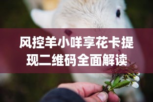 风控羊小咩享花卡提现二维码全面解读