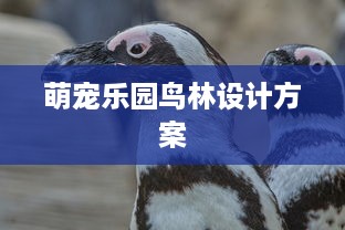 萌宠乐园鸟林设计方案