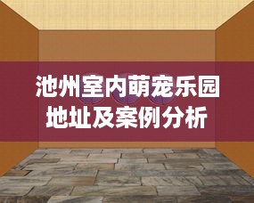池州室内萌宠乐园地址及案例分析