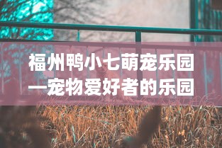 福州鸭小七萌宠乐园—宠物爱好者的乐园