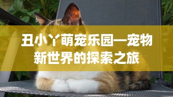 丑小丫萌宠乐园—宠物新世界的探索之旅