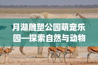 月湖雕塑公园萌宠乐园—探索自然与动物的奇妙世界