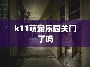 k11萌宠乐园关门了吗
