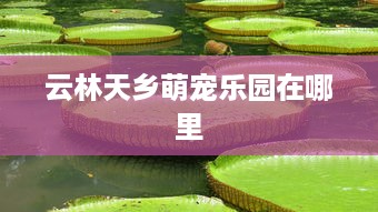 云林天乡萌宠乐园在哪里