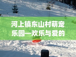 河上镇东山村萌宠乐园—欢乐与爱的乐园