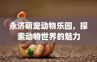 永济萌宠动物乐园，探索动物世界的魅力