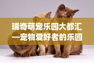 瑞奇萌宠乐园大都汇—宠物爱好者的乐园