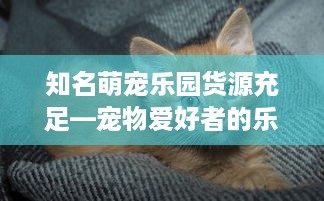 知名萌宠乐园货源充足—宠物爱好者的乐园选择