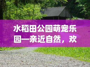 水稻田公园萌宠乐园—亲近自然，欢乐无限