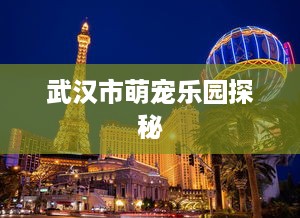 武汉市萌宠乐园探秘