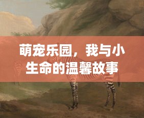 萌宠乐园，我与小生命的温馨故事