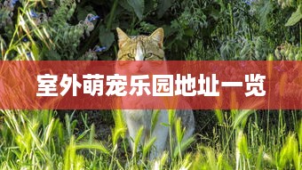 室外萌宠乐园地址一览