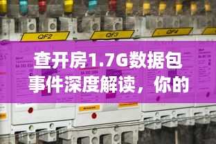查开房1.7G数据包事件深度解读，你的隐私安全真的有保障吗？