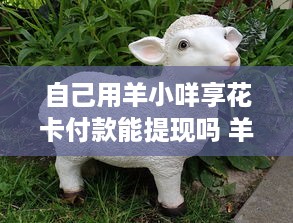 自己用羊小咩享花卡付款能提现吗 羊小咩享花卡付款提现攻略，揭秘你的消费福利！