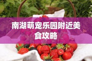 南湖萌宠乐园附近美食攻略
