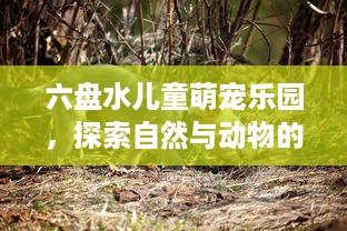六盘水儿童萌宠乐园，探索自然与动物的奇妙之旅