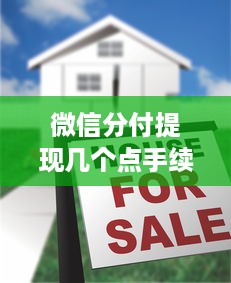 微信分付提现几个点手续费 微信分付提现手续费揭秘，几个点？案例分析告诉你真相！