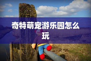 奇特萌宠游乐园怎么玩