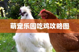 萌宠乐园吃鸡攻略图